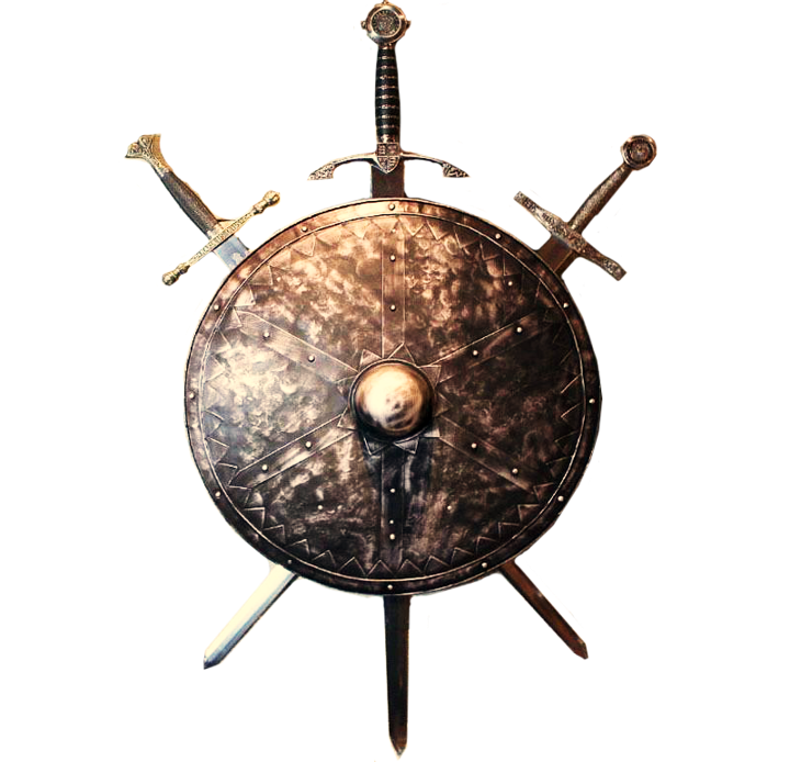 Shield with three crossed swords in the center, symbolizing strength, protection, and strategic defense. The design conveys a sense of unity and readiness for battle.